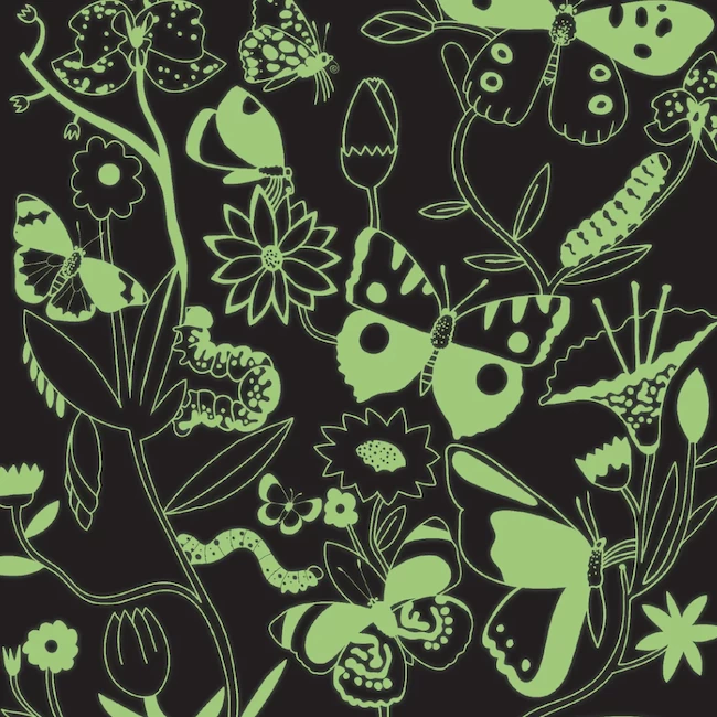 BUTTERFLIES ILLUMINATED 500 PIECE GLOW IN THE DARK PUZZLE 2 BUTTERFLIES ILLUMINATED 500 PIECE GLOW IN THE DARK PUZZLE - Afbeelding 2