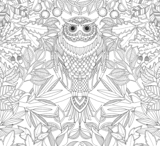 JOHANNA BASFORD SECRET GARDEN COLORING BOOK 2 JOHANNA BASFORD SECRET GARDEN COLORING BOOK - Afbeelding 2