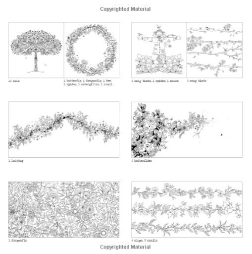 JOHANNA BASFORD SECRET GARDEN COLORING BOOK 4 JOHANNA BASFORD SECRET GARDEN COLORING BOOK - Afbeelding 4