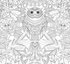 JOHANNA BASFORD SECRET GARDEN COLORING BOOK 13 JOHANNA BASFORD SECRET GARDEN COLORING BOOK -Babyproducten hachette mudpuppy johanna basford secret garden co 5