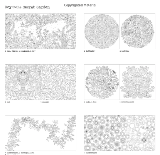 JOHANNA BASFORD SECRET GARDEN COLORING BOOK 7 JOHANNA BASFORD SECRET GARDEN COLORING BOOK - Afbeelding 7