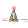 PALE GOLD AND LIGHT PINK PARTY HAT