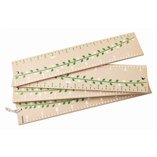 FAMILY GROWTH CHART 2 FAMILY GROWTH CHART - Afbeelding 2